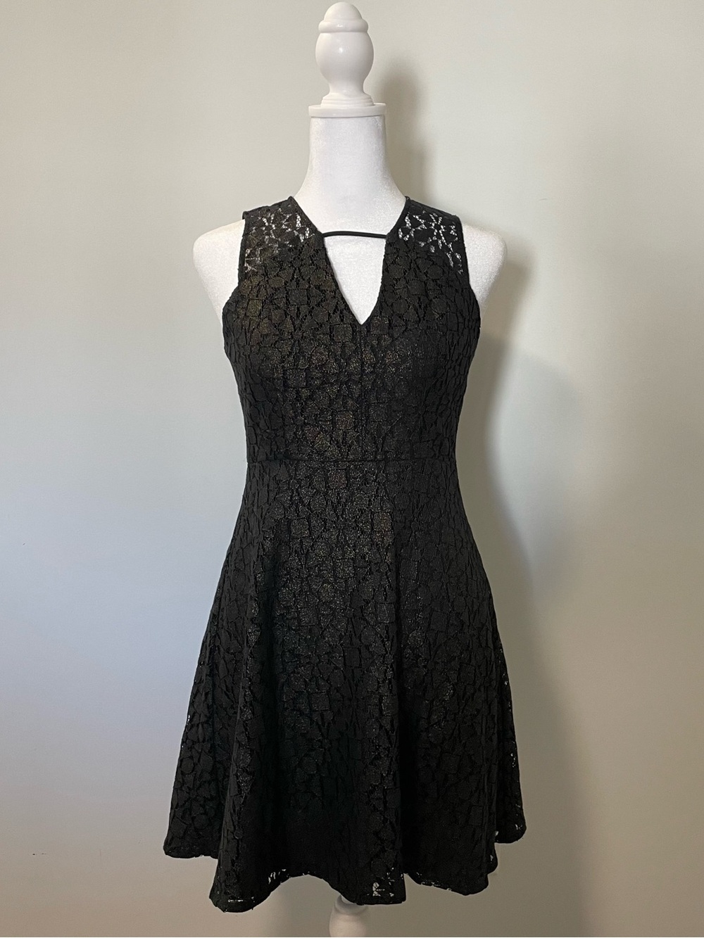 BCBGeneration Black Lace Fit & Flare Shimmer Mini Dress